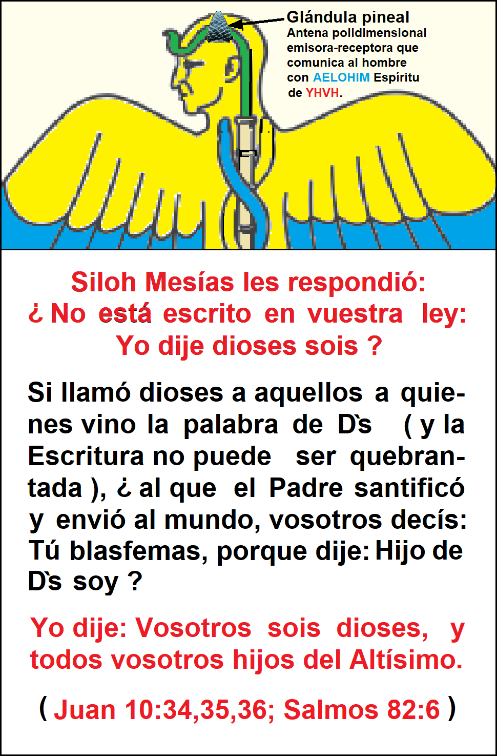 Consumado es el misterio de Dios